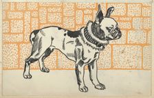 Pitbull Terrier, 1912. Creator: Moritz Jung