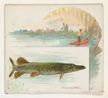 Pickerel, from Fish from American Waters series (N39) for Allen & Ginter Cigarettes, 1889. Creator: Allen & Ginter