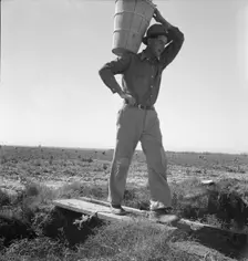 Pickers coming into the weigh master, pea field near Calipatria, California, 1939. Creator: Dorothea Lange