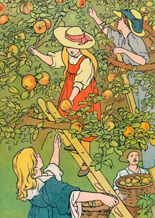 Picking the Fruit 1912. Artist: Charles Robinson