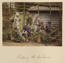 Picking the Tea Leaves, about 1873-1883. Creator: Shinichi Suzuki I