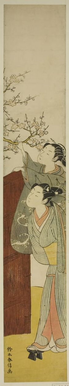 Picking a Plum Branch, c. 1767/68. Creator: Suzuki Harunobu