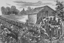 Picking and weighing cotton, 1872. Creator: Unknown