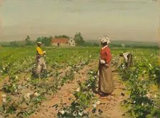 Picking Cotton, c. 1890. Creator: William Gilbert Gaul