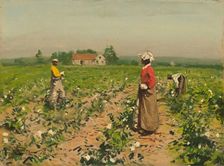 Picking Cotton, c. 1890. Creator: William Gilbert Gaul