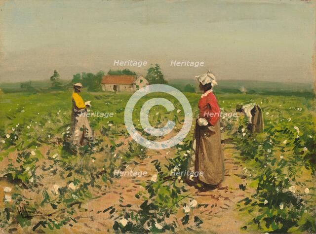 Picking Cotton, c. 1890. Creator: William Gilbert Gaul.