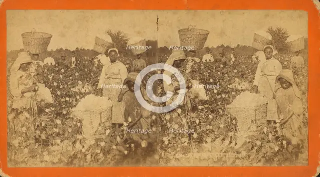 Picking cotton, c1880. Creator: O. Pierre Havens.