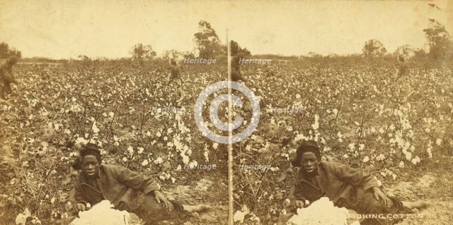 Picking cotton. [Woman resting in the field], (1868-1900?). Creator: O. Pierre Havens.