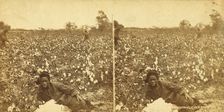Picking cotton. [Woman resting in the field], (1868-1900?). Creator: O. Pierre Havens