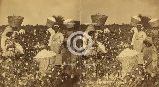 Picking cotton. [Women picking cotton], (1868-1900?). Creator: O. Pierre Havens.