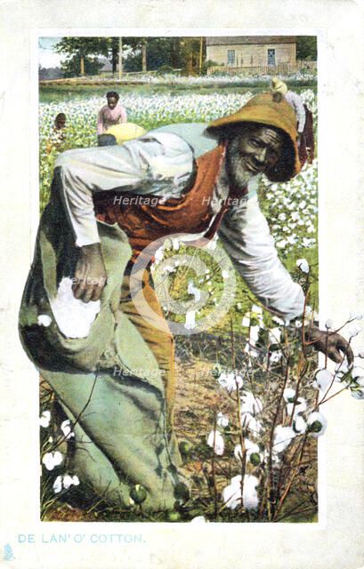 Picking cotton, USA, postcard, c1900. Artist: Unknown