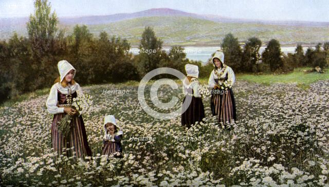 Picking flowers in a meadow near Leksand, Sweden, c1923. Artist: Unknown