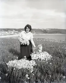 Picking flowers, St Mary's, Scilly Isles, c1955. Creator: Arthur Charles Kirby Ware