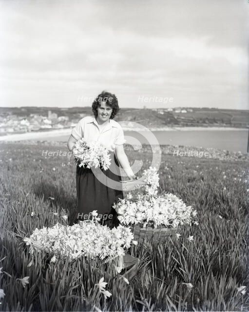 Picking flowers, St Mary's, Scilly Isles, c1955. Creator: Arthur Charles Kirby Ware.