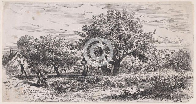 Picking fruit from tree outside cottage, ca. 1852. Creator: Charles Emile Jacque.