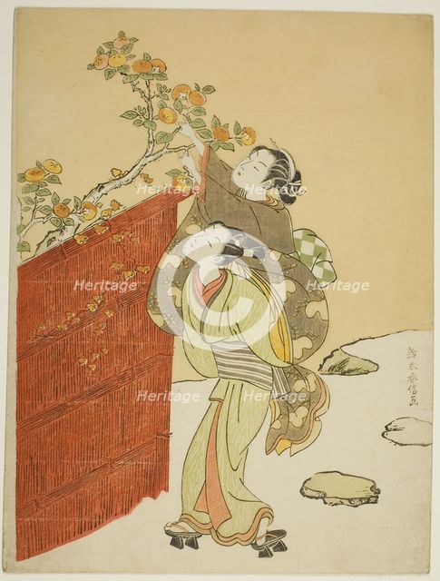 Picking Persimmons, c. 1767/68. Creator: Suzuki Harunobu.