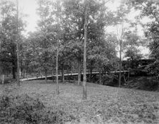 Picnic grounds at Lemont, Ill's., between 1900 and 1905. Creator: Unknown