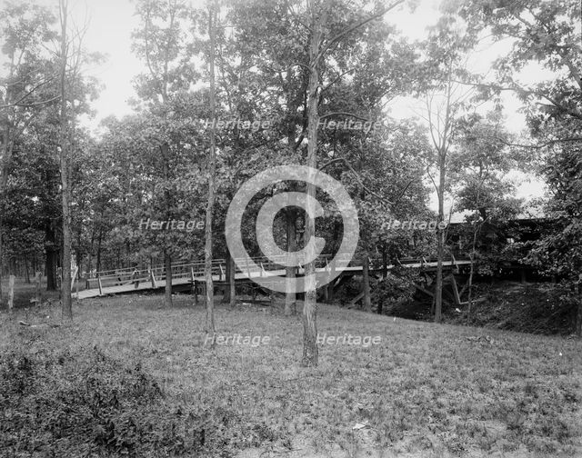Picnic grounds at Lemont, Ill's., between 1900 and 1905. Creator: Unknown.