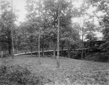 Picnic grounds at Lemont, Ill's., between 1900 and 1905. Creator: Unknown