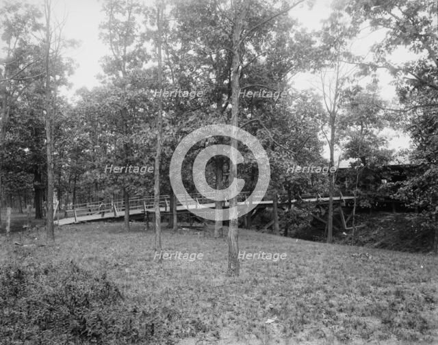 Picnic grounds at Lemont, Ill's., between 1900 and 1905. Creator: Unknown.