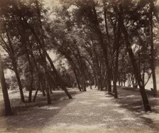 Picnic Grounds, c. 1895. Creator: William H Rau