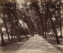 Picnic Grounds, c. 1895. Creator: William H Rau