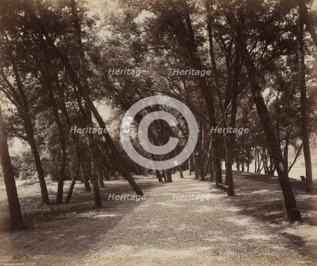 Picnic Grounds, c. 1895. Creator: William H Rau.