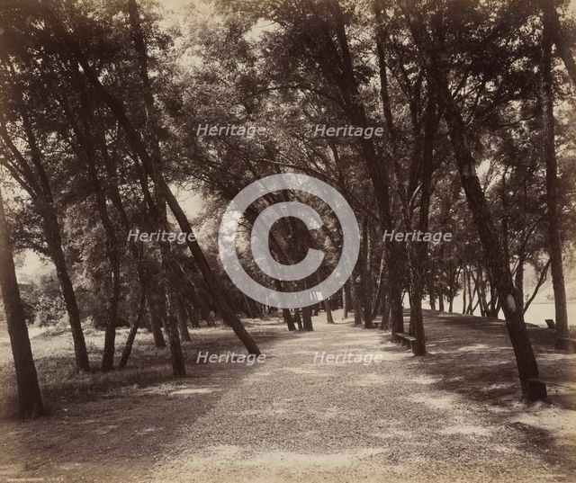Picnic Grounds, c. 1895. Creator: William H Rau.