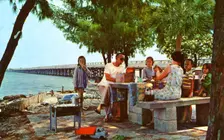 Picnicking alongside Courtney Campbell Parkway, Tampa, Florida, USA, 1959