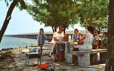 Picnicking alongside Courtney Campbell Parkway, Tampa, Florida, USA, 1959