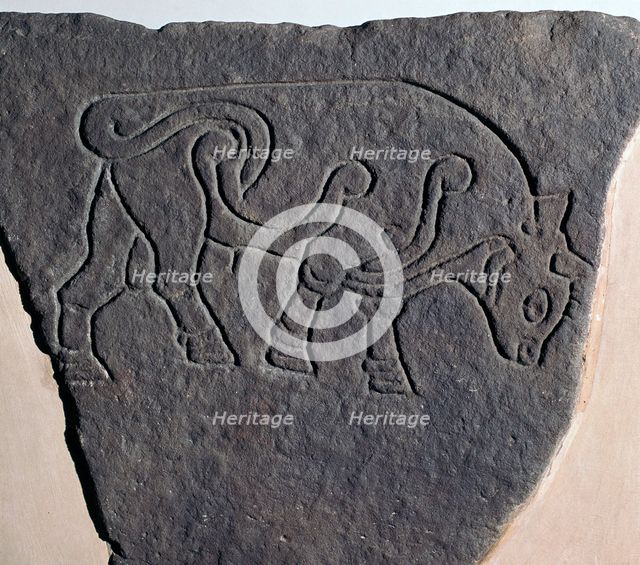 Pictish incised stone with a bull motif, 6th century. Artist: Unknown