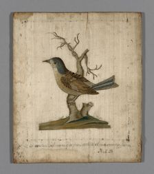 Picture of a Bird, France, 18th century. Creator: Unknown