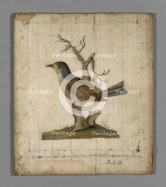 Picture of a Bird, France, 18th century. Creator: Unknown.