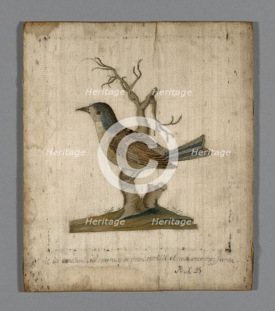 Picture of a Bird, France, 18th century. Creator: Unknown.