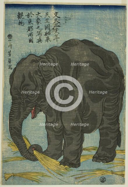 Picture of Large Elephant from India (Tenjiku hakurai dai zo no shashin), An Attraction at..., 1863. Creator: Yoshikazu.