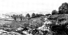 Pictures from the New Gallery: A Somerset Pastoral - L. Leslie Brooke, 1895. Creator: George Meisenbach
