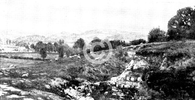 Pictures from the New Gallery: A Somerset Pastoral - L. Leslie Brooke, 1895. Creator: George Meisenbach.