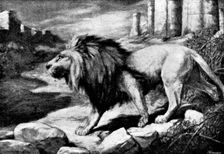 Pictures from the New Gallery: Lord of the City - Harry Dixon, 1895. Creator: George Meisenbach