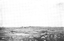 Pictures from the Royal Academy: Thistledown - D. Murray, A.R.A., 1895. Creator: George Meisenbach