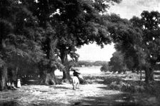 Pictures from the Royal Academy: Through The Forest - C. E. Johnson, 1898. Creator: Unknown