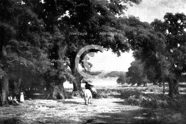 Pictures from the Royal Academy: Through The Forest - C. E. Johnson, 1898. Creator: Unknown.