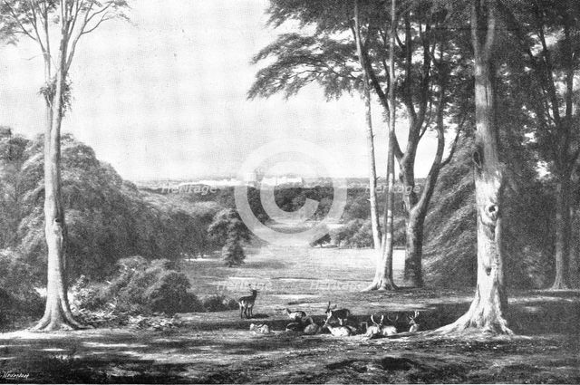 Pictures from the Royal Academy: Windsor Castle, from the Forest - C. E. Johnson, 1895. Creator: George Meisenbach.