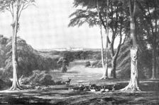 Pictures from the Royal Academy: Windsor Castle, from the Forest - C. E. Johnson, 1895. Creator: George Meisenbach