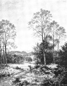 Pictures from the Royal Academy: A Sunny Morning: Surrey - B. W. Leader, A.R.A., 1895. Creator: George Meisenbach