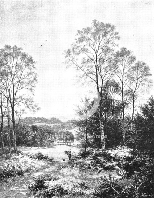 Pictures from the Royal Academy: A Sunny Morning: Surrey - B. W. Leader, A.R.A., 1895. Creator: George Meisenbach.