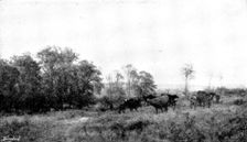 Pictures from the Royal Academy; April: Forenoon in the Condette Dunes - H. W. B. Davis, R.A., 1895. Creator: George Meisenbach