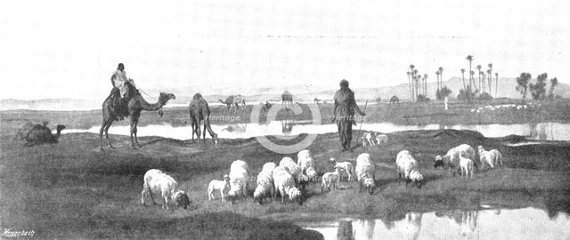 Pictures from the Royal Academy: Laban's Pasture: Jacob Serving for Rachel - F. Goodall, R.A., 1895. Creator: George Meisenbach.