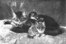 Pictures from the Royal Academy: Memories and Anticipations - Henriette Ronner, 1898. Creators: Unknown, Henriette Ronner