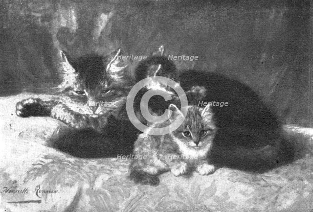 Pictures from the Royal Academy: Memories and Anticipations - Henriette Ronner, 1898. Creators: Unknown, Henriette Ronner.