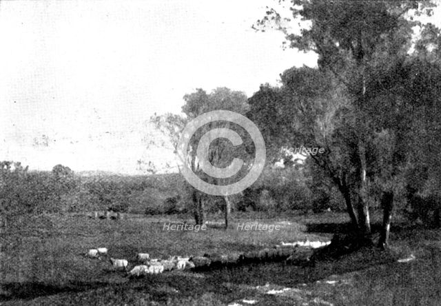 Pictures from the Royal Academy: Midland Meadows - A. East, 1895. Creator: George Meisenbach.